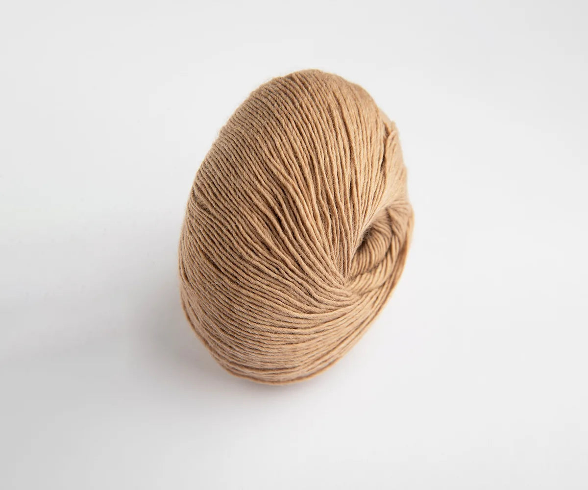 Skylark Hazelnut