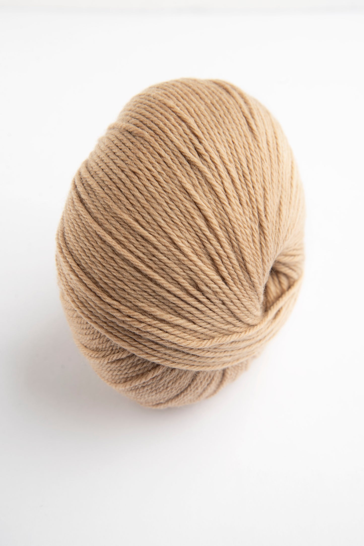 Wooly Hazelnut