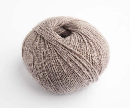 Wooly Lavender