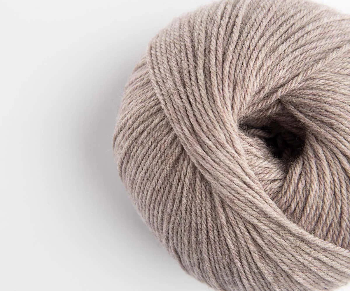 Wooly Lavender