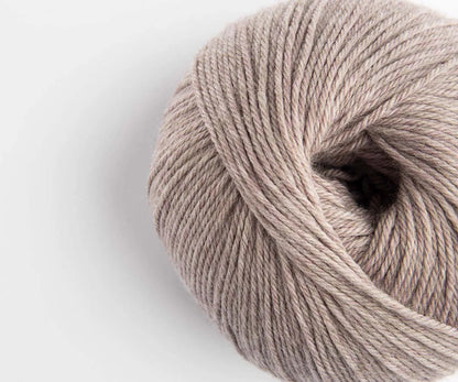 Wooly Lavender