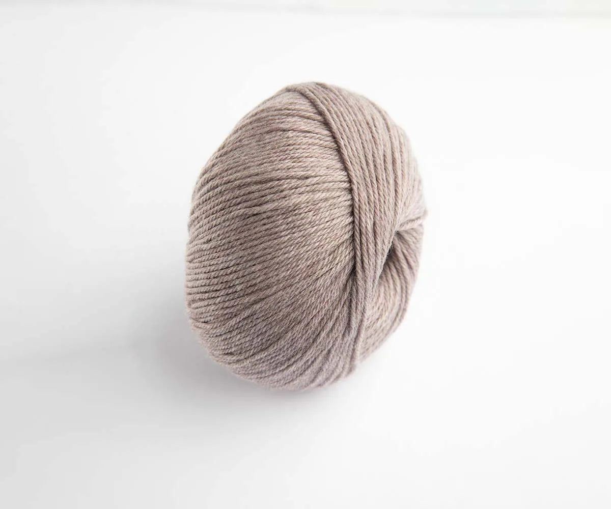 Wooly Lavender