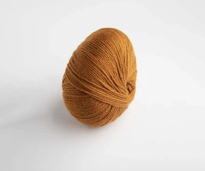 Cozy Tangerine
