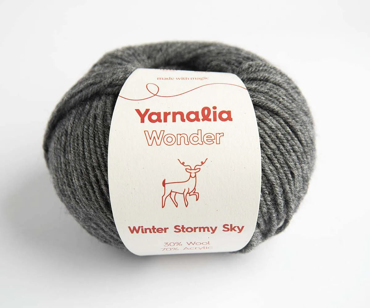 Wonder Winter Stormy Sky