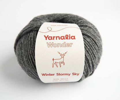Wonder Winter Stormy Sky